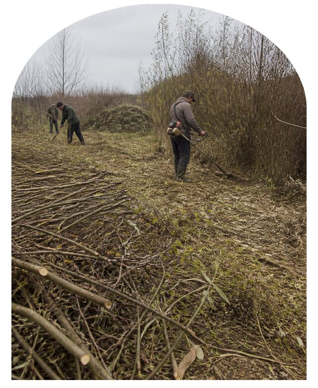 Удаление кустарника в Орле по цене от 5568 р. | Метпроект-Орл